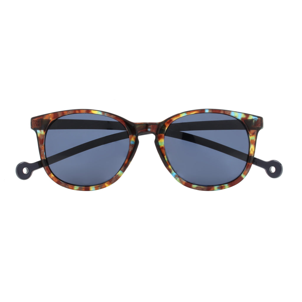 Arroyo Blue Tortoise