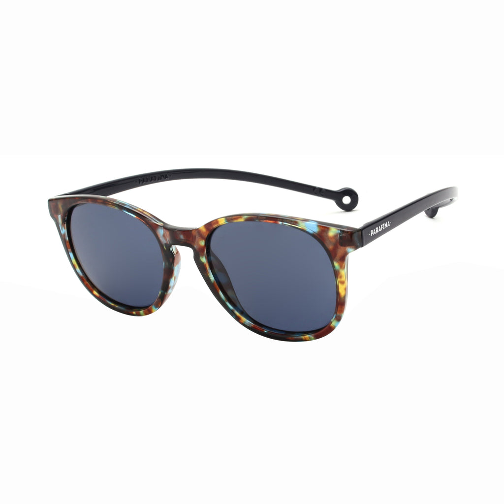 Arroyo Blue Tortoise
