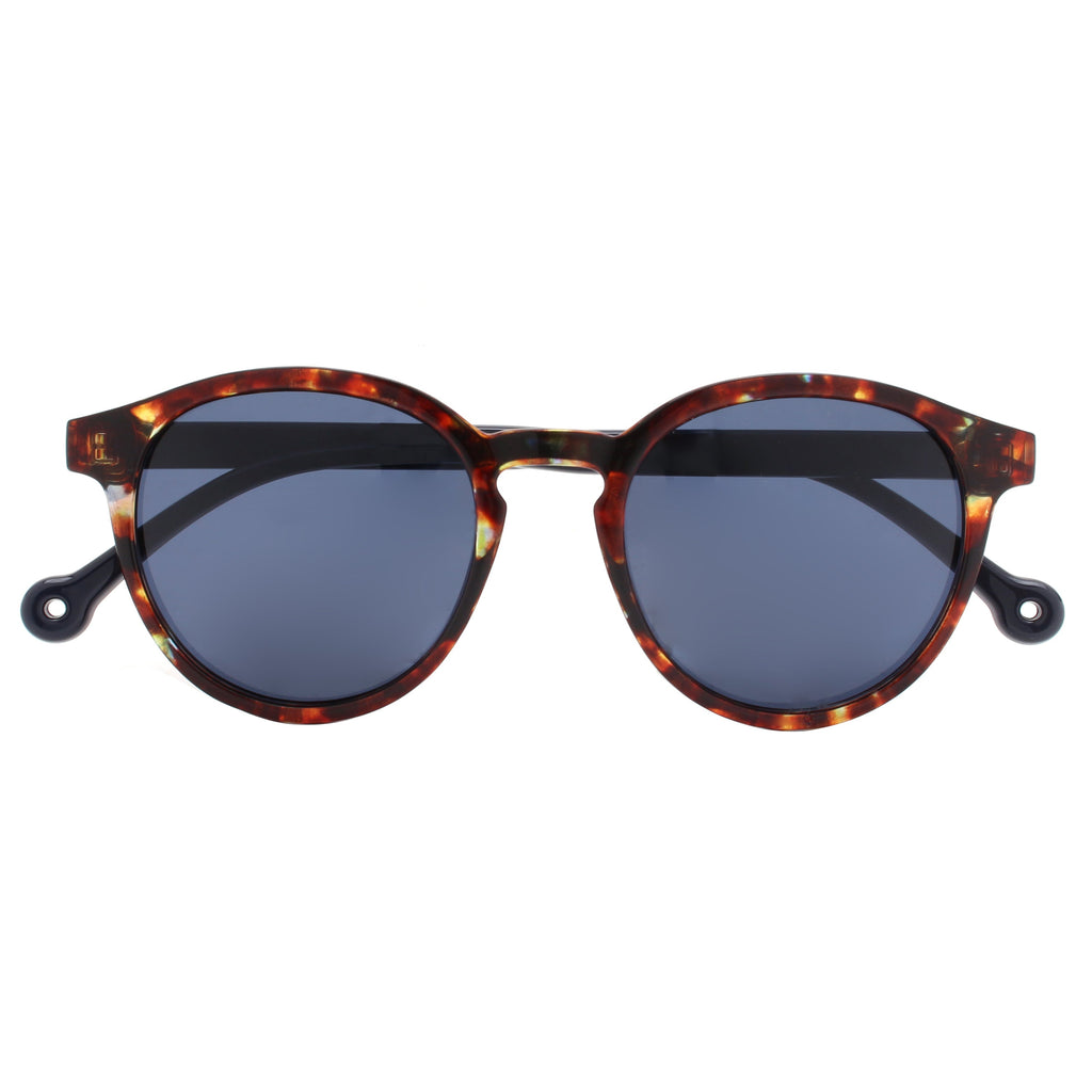 Canal Blue Tortoise