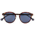 Canal Blue Tortoise