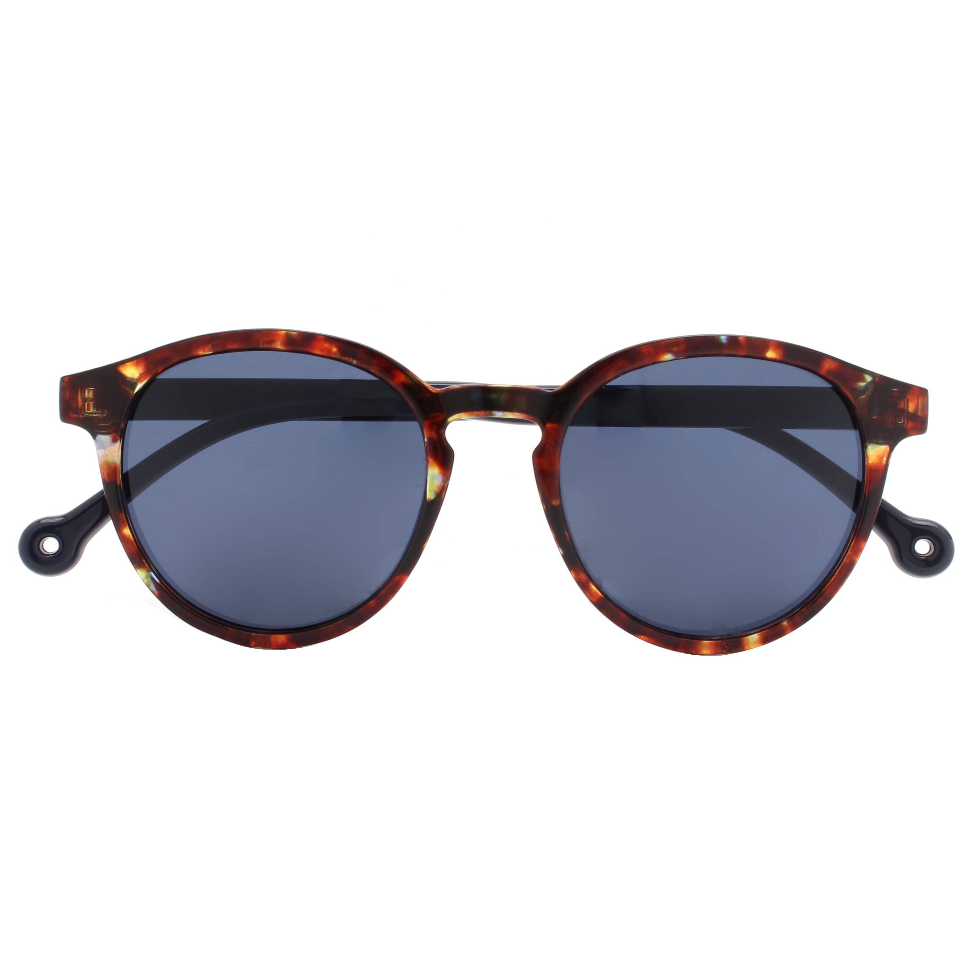 Canal Blue Tortoise