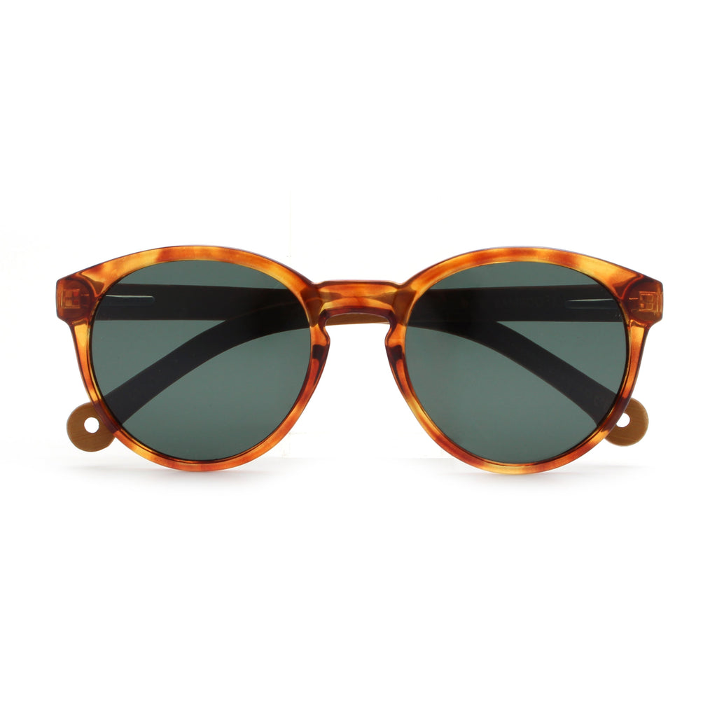 Costa Gentle Tortoise