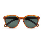 Costa Gentle Tortoise