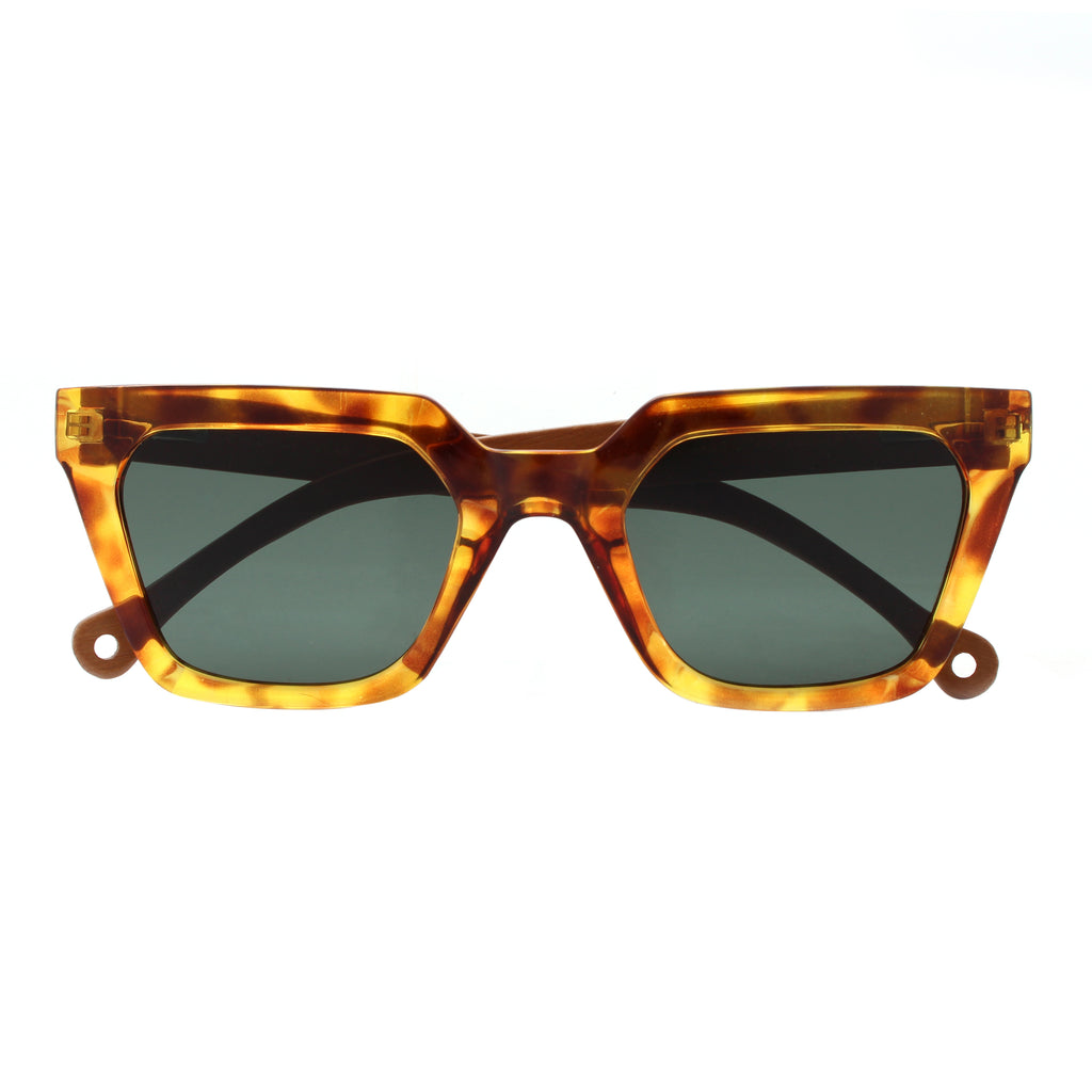 Alga Gentle Tortoise NEW