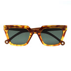 Alga Gentle Tortoise NEW