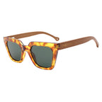 Alga Gentle Tortoise NEW