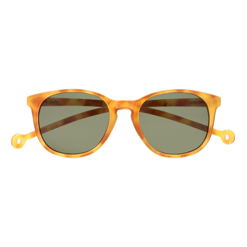 Arroyo Yellow Tortoise NEW