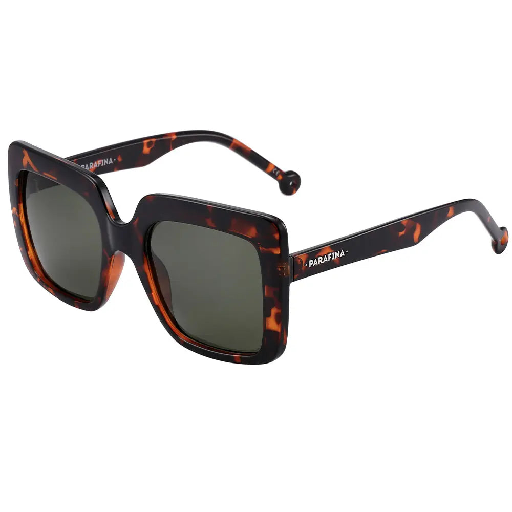 Oceano Tortoise