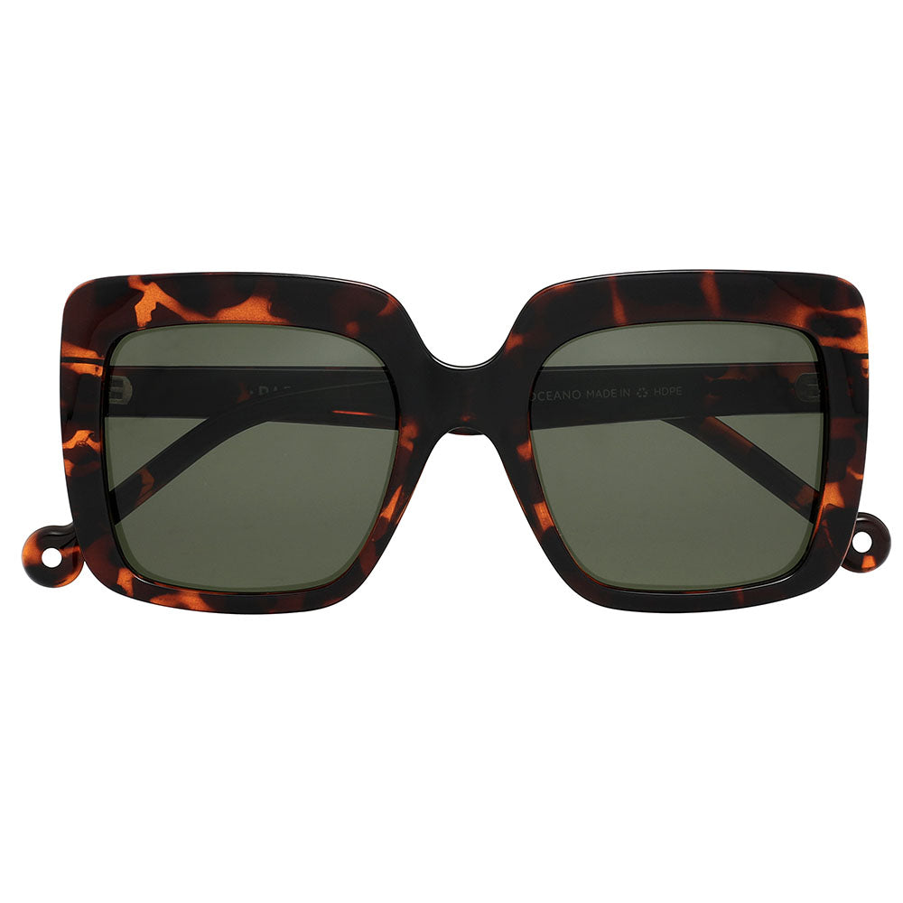 Oceano Tortoise