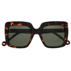 Oceano Tortoise