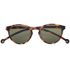 Isla Tortoise