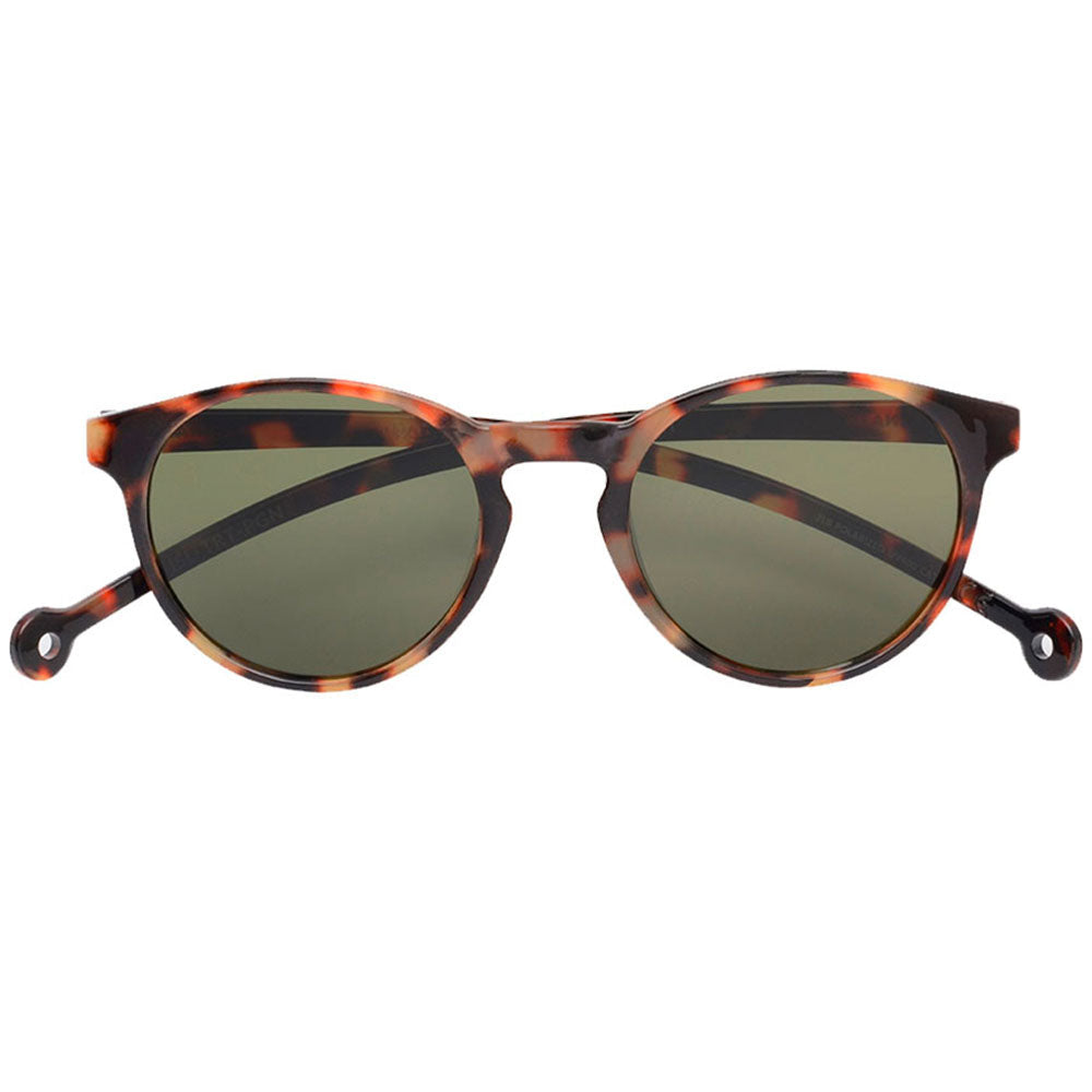 Isla Tortoise