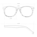 Arroyo Blue Tortoise