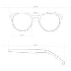 Costa Transparent Grey