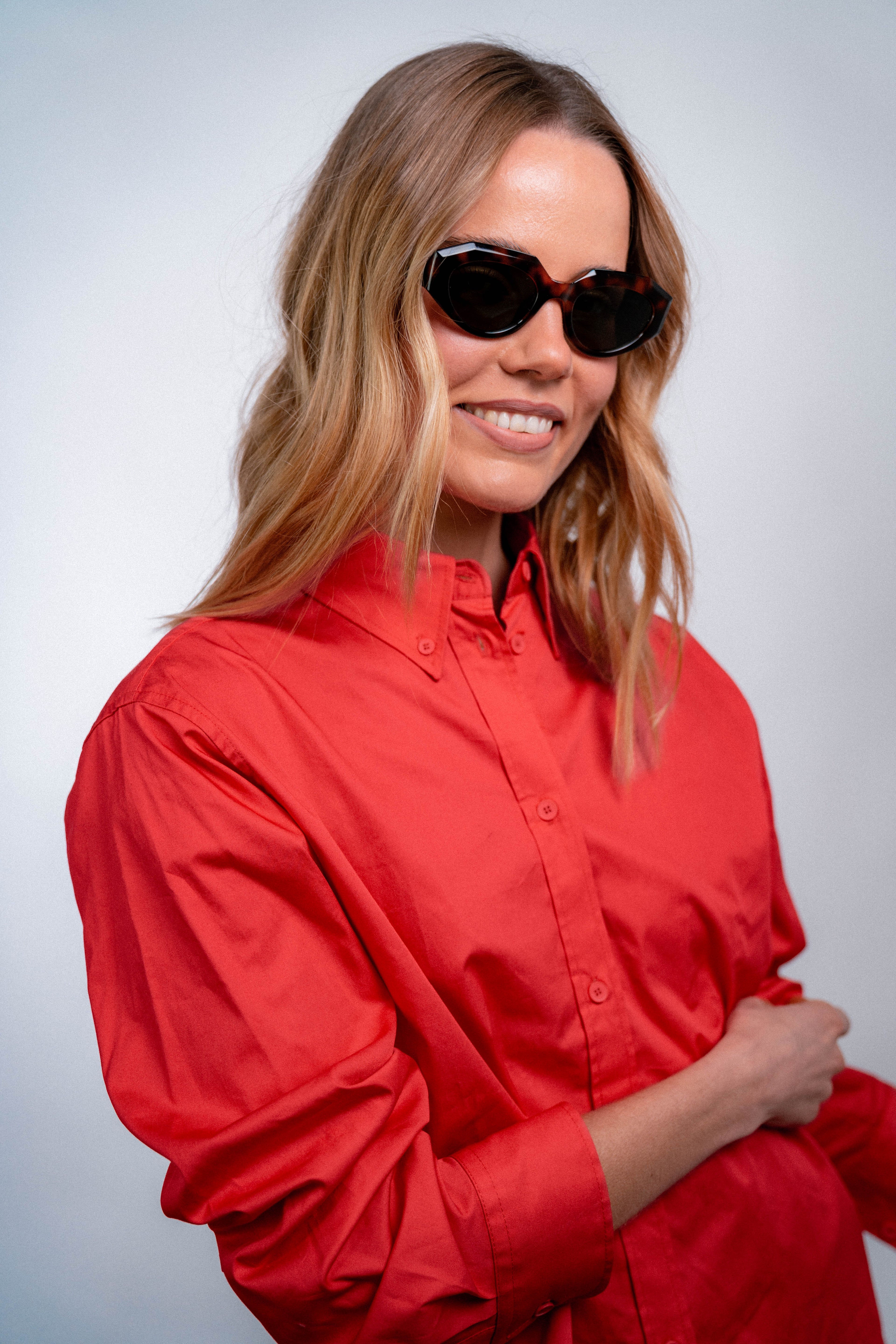 Desierto Tortoise NEW
