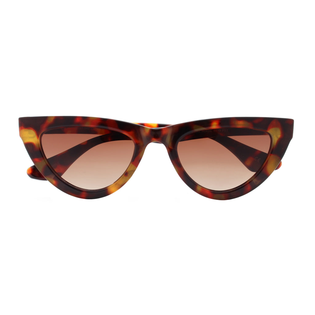 Cima Tortoise NEW
