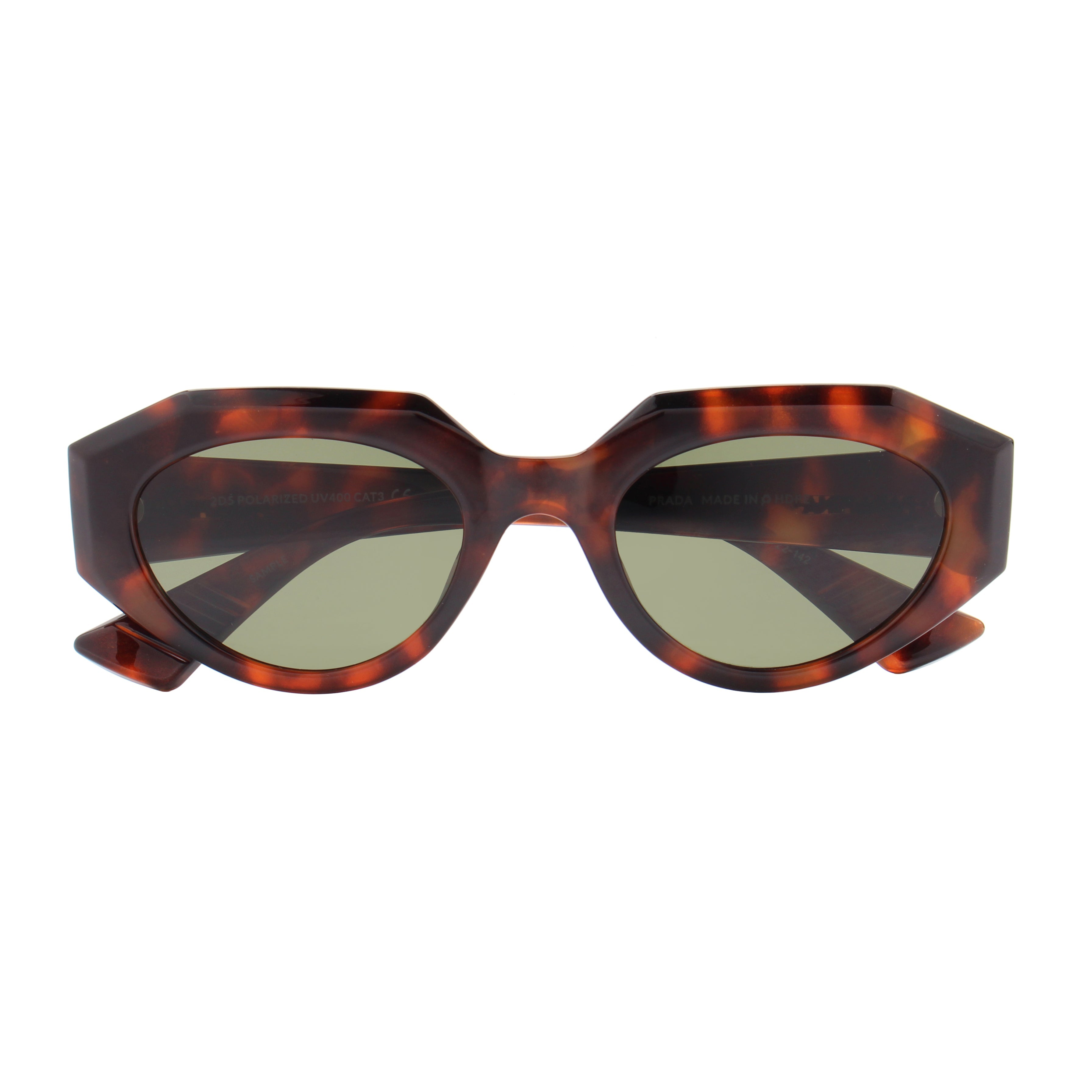 Desierto Tortoise NEW