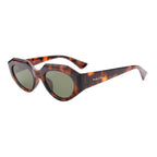 Desierto Tortoise NEW