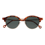 Viento Tortoise