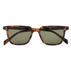 Bosque Tortoise NEW